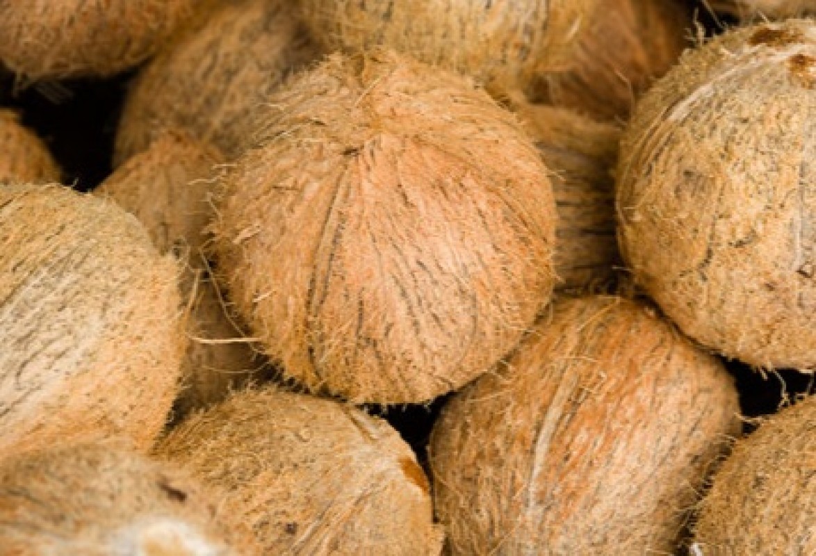 Coco maduro descascarillado, fresco y orgánico from Ghana